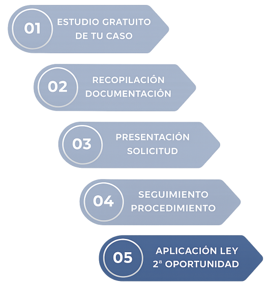 pasos solicitud ley segunda oportunidad